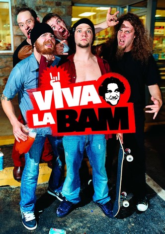 Viva La Bam poster