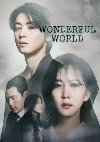 Wonderful World poster